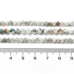 Natural Tree Agate Beads Strands&nbsp;G-G189-D12-03