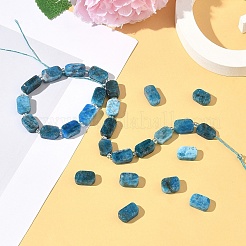 1 Strand Natural Apatite Beads Strands&nbsp;G-YW0002-96