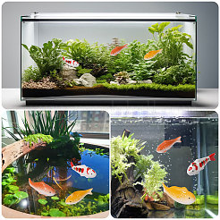 3Pcs 3 Colors Porcelain Fish Display Decoration&nbsp;DJEW-FH0011-48