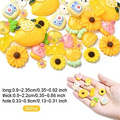 30 個 10 スタイル樹脂デコデンカボション  混合図形  ミックスカラー  9~32x9~26x3.3~8mm  3個/スタイル&nbsp;CRES-YW0002-15