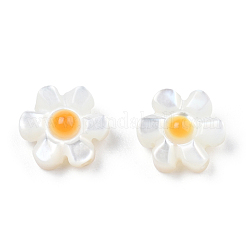 Natural White Shell Enamel Beads&nbsp;SSHEL-N034-125B-01