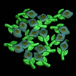 Luminous Opaque Epoxy Resin Decoden Cabochons&nbsp;CRES-M032-02F