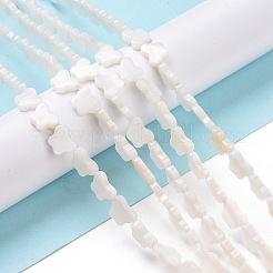 天然淡水シェルビーズ連売り  染め  蝶  ホワイト  8x10x2.5mm  穴：0.8mm  約40個/連  15.39''（39.1センチメートル）&nbsp;SHEL-H002-02E