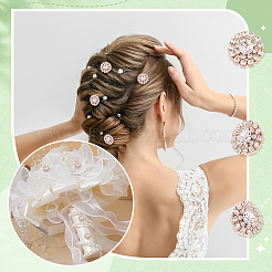30本合金ラインストーンカボション  花  ライトゴールド  19x5.5mm&nbsp;ALRI-GA0001-09KCG