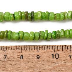 Dyed Natural Freshwater Shell Beads Strands&nbsp;SH-CBA2978-04B