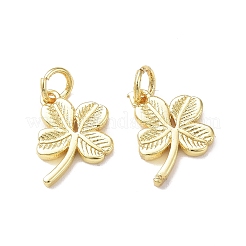 Rack Plating Brass Charms&nbsp;KK-F849-02G