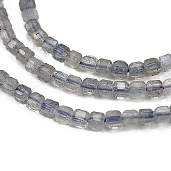 Natural Labradorite Beads Strands&nbsp;G-L597-A01-01