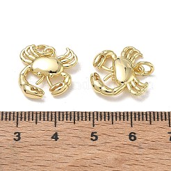真鍮チャーム  カニチャーム  カドミウムフリー＆鉛フリー  ラックめっき  長持ちメッキ  18KGP本金メッキ  15x16x3.5mm  穴：3.5mm&nbsp;KK-CBA1AE8-02G