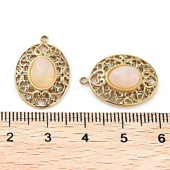 304 Stainless Steel Pendants&nbsp;STAS-L012-359B-G