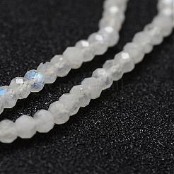Natural Labradorite Bead Strands&nbsp;G-P271-3mm-06