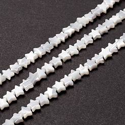 Natural Trochid Shell/Trochus Shell Beads&nbsp;SSHEL-O001-25A-01