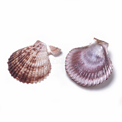 ホタテ貝殻ペンダント  シェル  ミックスカラー  46~51.5x40~46x6~7mm  穴：1.8~2mm&nbsp;SSHEL-TAC0001-01