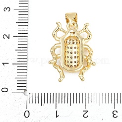 真鍮製マイクロパヴェキュービックジルコニアペンダント  昆虫チャーム  透明  ゴールドカラー  22x17x4mm  穴：4x3mm&nbsp;KK-A297-01G