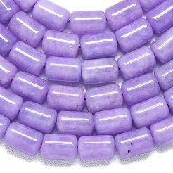 Natural Malaysia Jade Beads Strands&nbsp;G-B165-E13-8x12mm