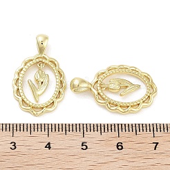Rack Plating Brass Pendants&nbsp;KK-Z064-24G-01