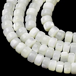 Natural Trochid Shell/Trochus Shell Beads Strands&nbsp;SH-CBA2978-18B