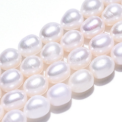 天然養殖淡水パールビーズ連売り  ライス  貝殻色  7~9x6.5~7.5mm  穴：0.7~0.8mm  約43~44個/連  14.37インチ（36.5cm）&nbsp;LS-PEAR-N012-07K