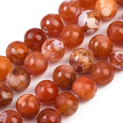 ファイヤーアゲートクラックルビーズ連売り  ラウンド  染め＆加熱  12mm  穴：1mm  約33個/連  15.43~15.55''（39.2~39.5センチメートル）&nbsp;G-G163-A01-04