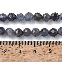 Natural Iolite/Cordierite/Dichroite Beads Strands&nbsp;G-L651-C03-6mm