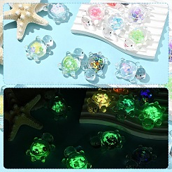 20Pcs Transparent Acrylic Cabochons&nbsp;TACR-YW0003-20