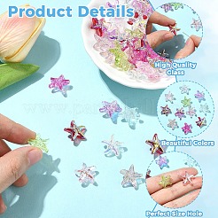 64個8色電気メッキガラスビーズ  ヒトデ  ABカラーメッキ  半分メッキ  ミックスカラー  14.5~15x15.5~16x7~7.5mm  穴：0.8~1mm  8個/カラー&nbsp;EGLA-YW0005-79