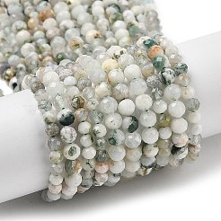 Natural Tree Agate Beads Strands&nbsp;G-RM250104-D6
