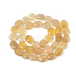 Dyed & Heated Natural Agate Beads Strands&nbsp;G-N359-15A-06