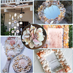 40Pcs Natural Scallop Shell Beads&nbsp;SSHEL-SP0001-02