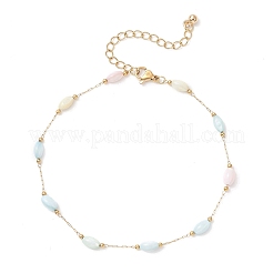 Dyed Rice Natural Shell & 304 Stainless Steel Link Chain Anklets&nbsp;AJEW-AN00727