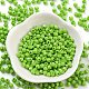 Baking Paint Glass Seed Beads&nbsp;SEED-A032-02A-2