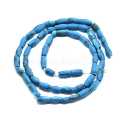 Dyed Synthetic Turquoise Beads Strands&nbsp;G-D356-A01-02