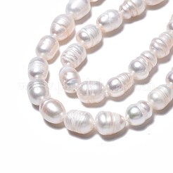 天然養殖淡水パールビーズ連売り  ライス  貝殻色  8.5~12x6.5~7.5mm  穴：0.8mm  約32~39個/連  13.82インチ〜14.37インチ（35.1cm〜36.5cm）&nbsp;PEAR-N012-07A