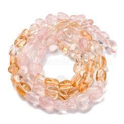 Natural Rose Quartz & Citrine Beads Strands&nbsp;G-L610-B10-01