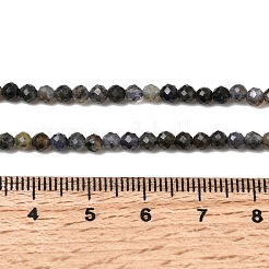 Natural Iolite Beads Strands&nbsp;G-G343-B01-3mm