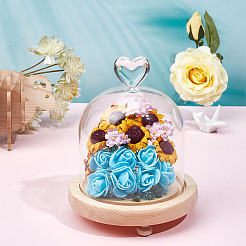High Borosilicate Glass Dome Cover&nbsp;DJEW-NB0001-26