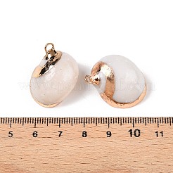 天然石海シェルペンダント  金色の鉄製ループが付いた貝殻型のチャーム  貝殻色  18~30x13~23x9~15mm  穴：2~2.5mm&nbsp;SSHEL-N038-48