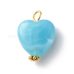 Acrylic Pendants&nbsp;PALLOY-JF00832