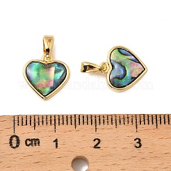 Natural Paua Shell Heart Charms&nbsp;KK-G538-20G