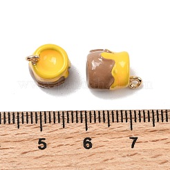 Alloy Enamel Charms&nbsp;FIND-C077-01