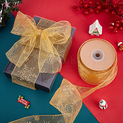 Transparent Single Face Chiffon Ribbon for Christmas&nbsp;OCOR-WH0071-008B