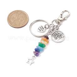 Tibetan Style Alloy Keychains&nbsp;KEYC-JKC00718-01