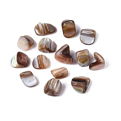 天然淡水シェルビーズ  ナゲットスティック  キャメル  5~15x5~11x4~11mm  穴：1~1.2mm&nbsp;SHEL-ZX009-12