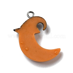 Halloween Opaque Resin Pendants&nbsp;RESI-D055-106P