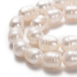 天然養殖淡水パールビーズ連売り  ライス  ビスク  10~11x8~9mm  穴：0.7mm  約34個/連  14.17インチ（36cm）&nbsp;PEAR-L033-81-01