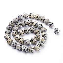 Natural Dalmatian Jasper Beads Strands&nbsp;GSR10mmC004