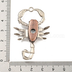 Tibetan Style Alloy Pendants&nbsp;FIND-C052-18R