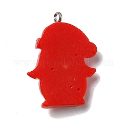 Opaque Resin Pendants&nbsp;LS-RESI-D055-004P