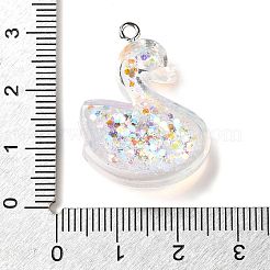 Transparent Resin Pendants&nbsp;RESI-H036-01E