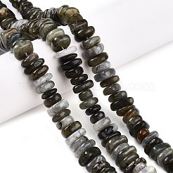 Natural Labradorite Beads Strands&nbsp;G-T141-09