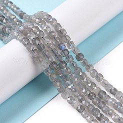 Natural Labradorite Beads Strands&nbsp;G-D0003-B10